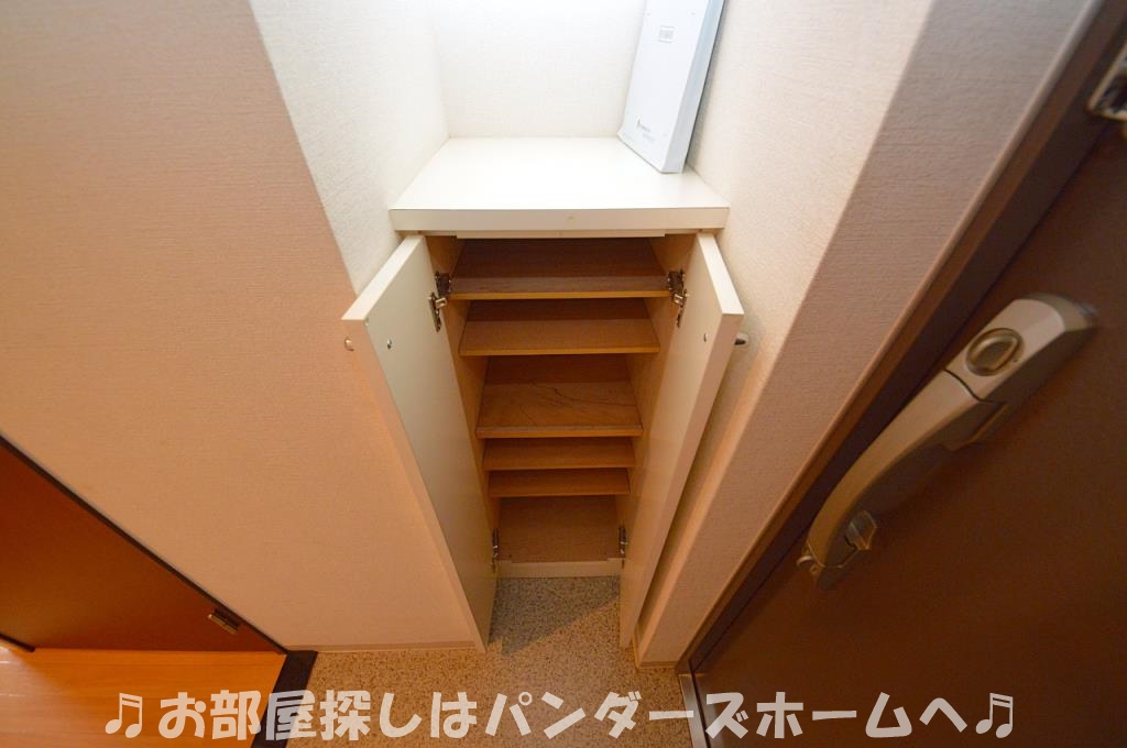 中部屋タイプの室内写真です。