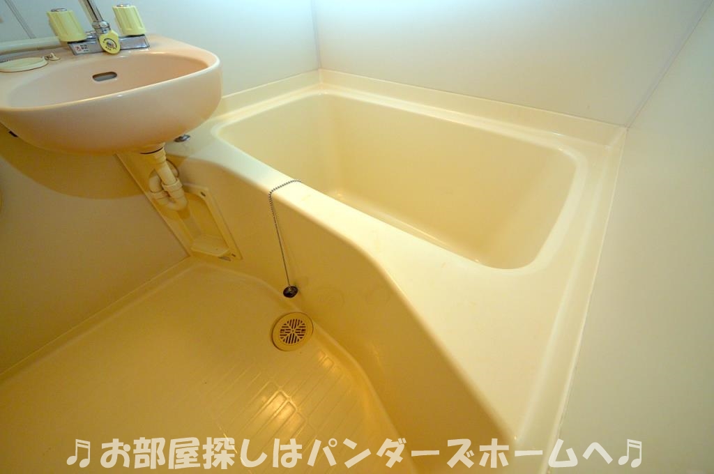 同マンション別部屋写真